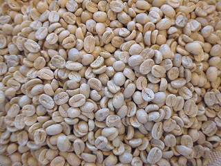 ラオスバンロンラン生豆