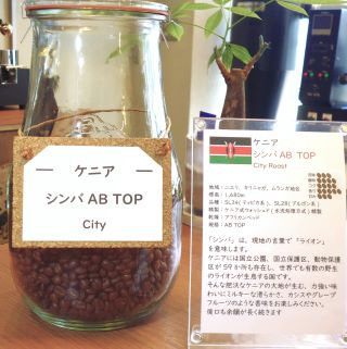 ケニア_シンバAB_C